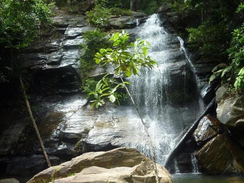 Secret Paradise Resort & Turtle Sanctuary San Vicente  Exterior foto
